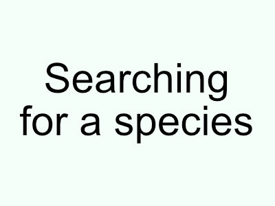 Searching for a species